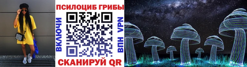 Купить закладки  Поворино  Галлюциногенные грибы Magic Shrooms 