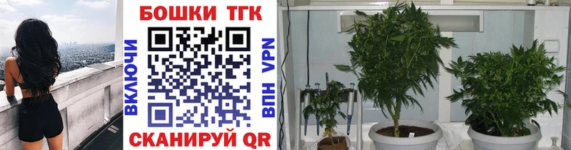 Купить где  Поворино  Канабис White Widow 